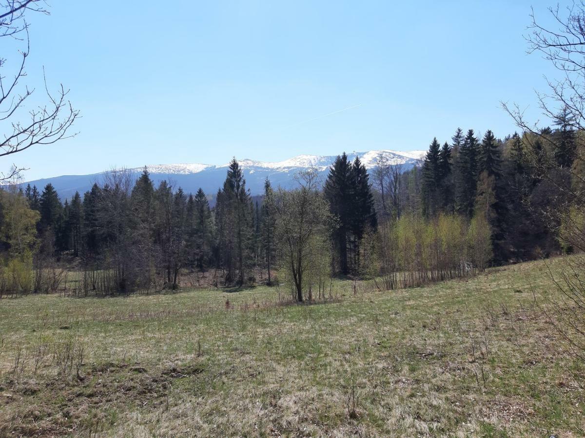 Apartament Nr 16 Szklarska Poręba Εξωτερικό φωτογραφία